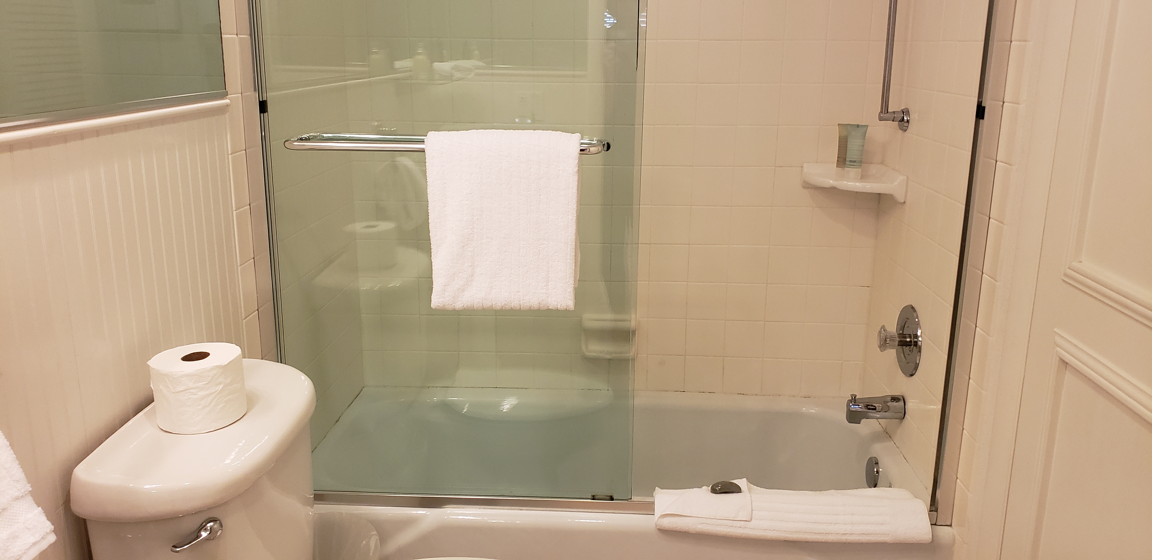 Guest Bathtub